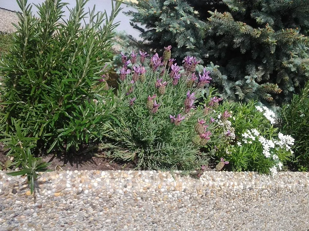 Pension Haus Sanz Viena 3*,